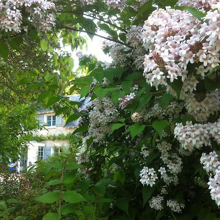 Bed and Breakfast La Butte De Gohier Blaison Экстерьер фото