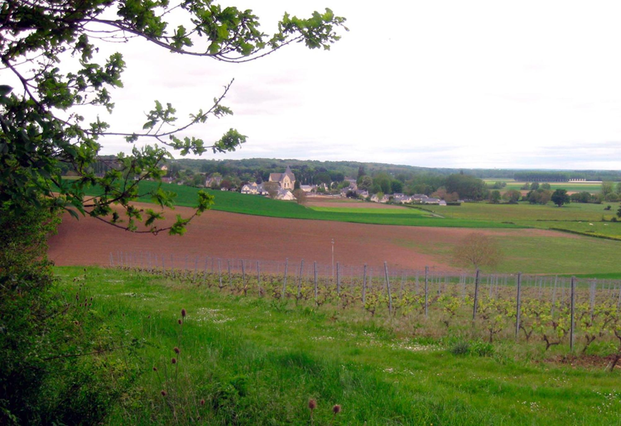 Bed and Breakfast La Butte De Gohier Blaison Экстерьер фото