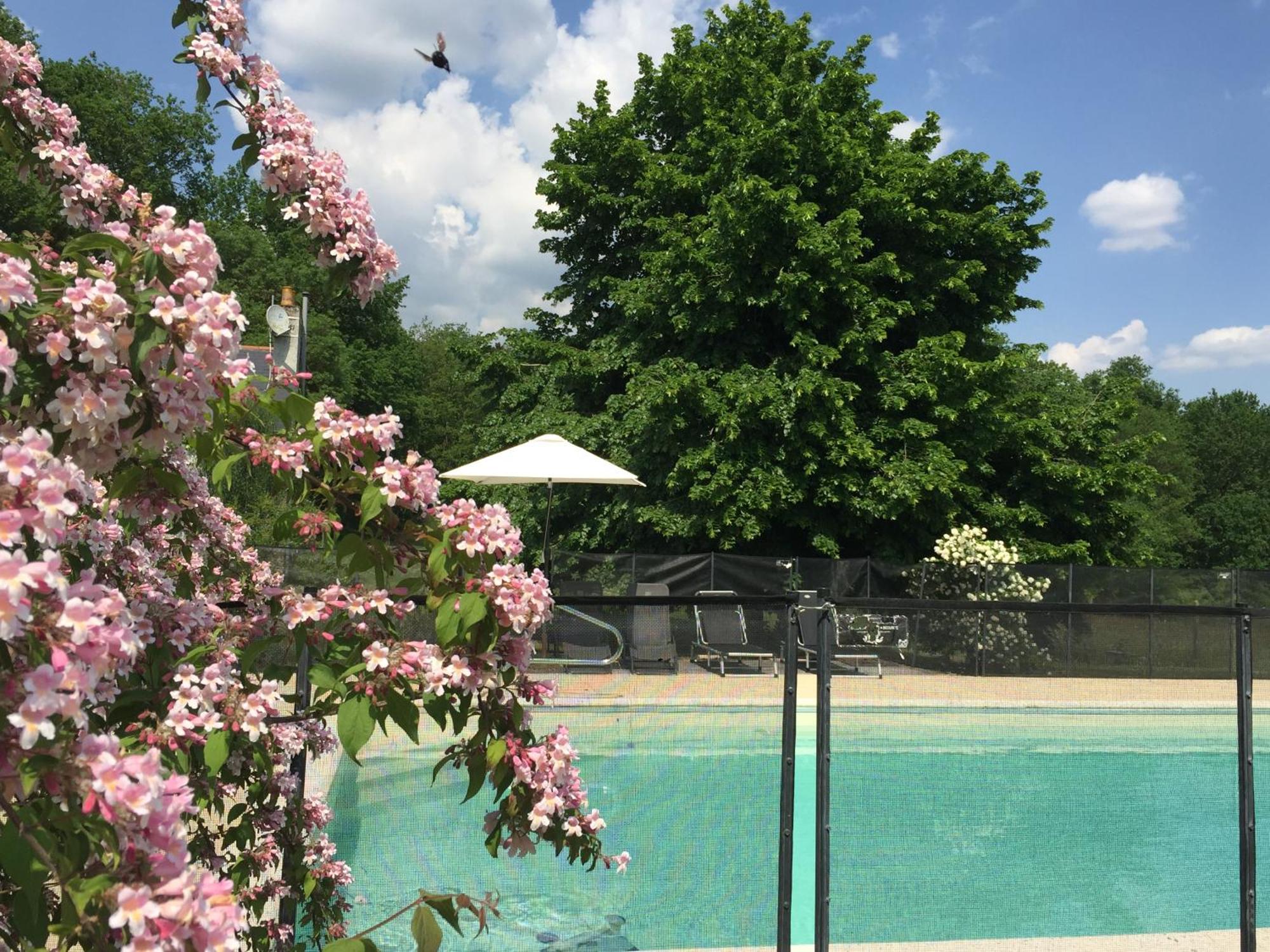 Bed and Breakfast La Butte De Gohier Blaison Экстерьер фото